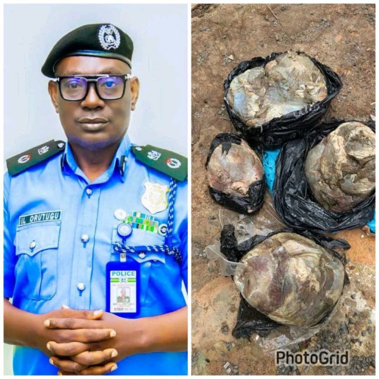 Video- Anambra Police Arrest Female Accomplice in Gruesome Murder of Pregnant Nurse – Human Parts Recovered from Shrine